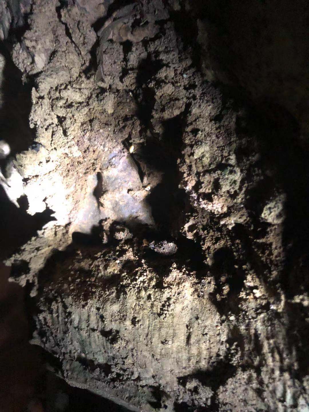 微信圖片_20220105104317.jpg 微信圖片_20220105104317.jpg