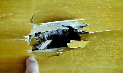 1599184343348575.jpg 上海滅白蟻