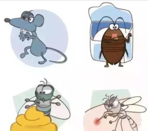 中山消殺滅四害是什么？有哪些危害