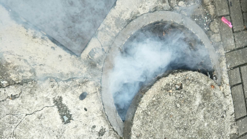 家里飛進(jìn)飛蟻怎么辦？