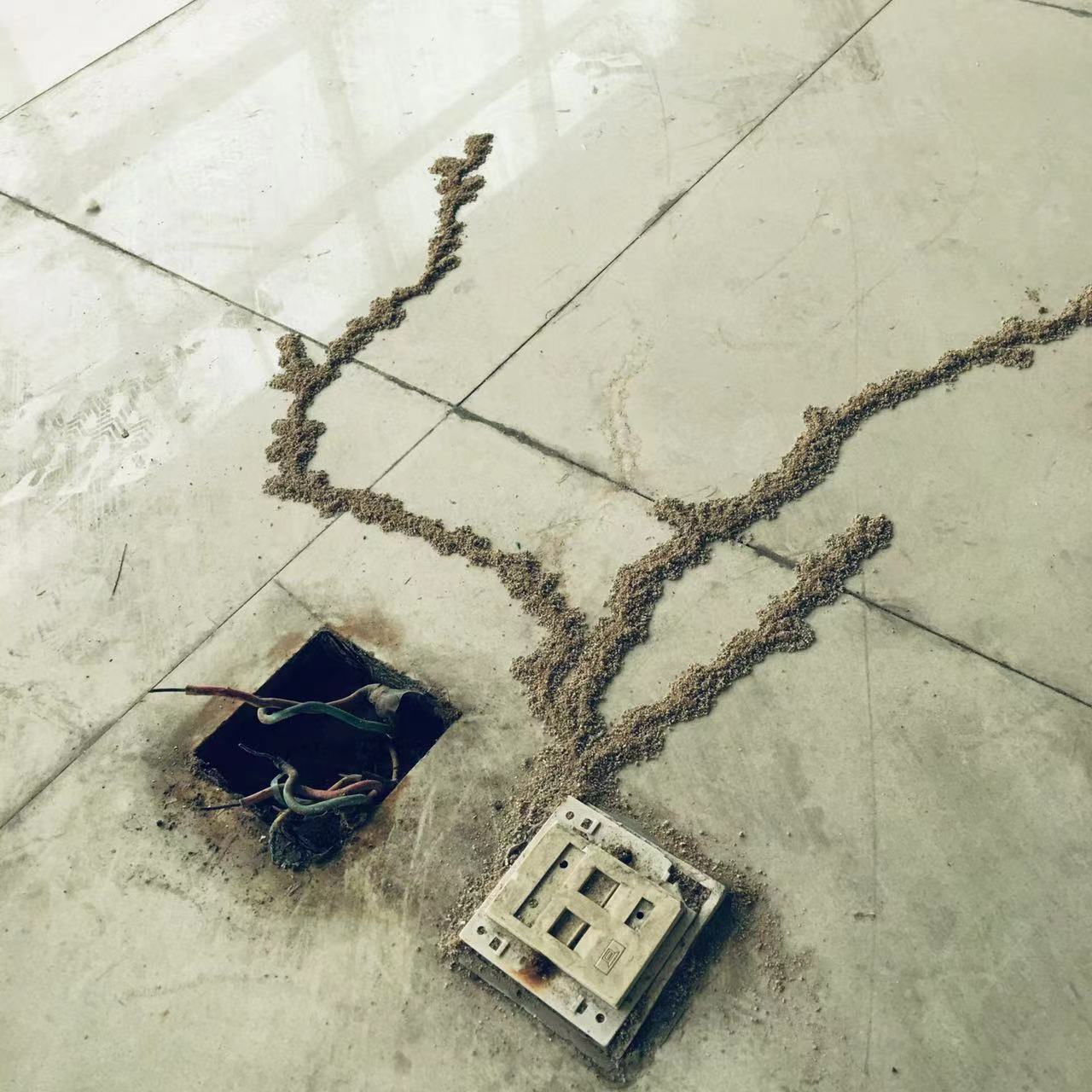 微信圖片_20220609213415.jpg 微信圖片_20220609213415.jpg