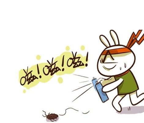 中山滅蟑螂的方法有哪些，怎么選擇好的中山