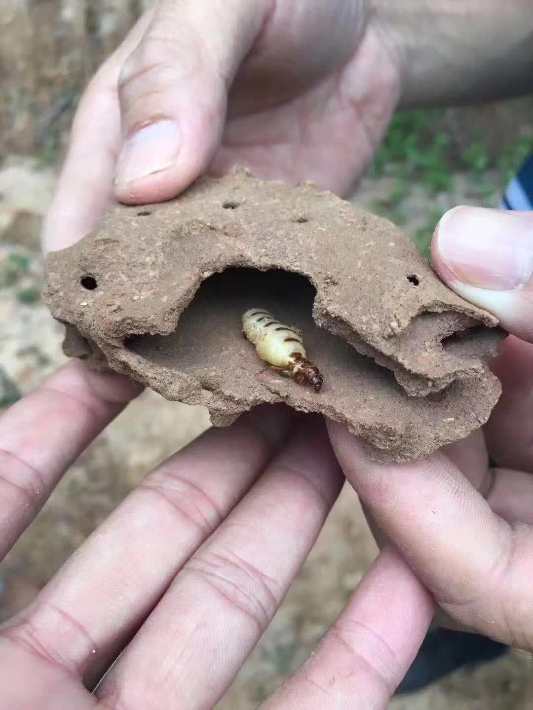 微信圖片_20220620013318.jpg 微信圖片_20220620013318.jpg