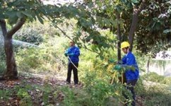 中山白蟻防治公司，當(dāng)天上門服務(wù)，1小時內(nèi)