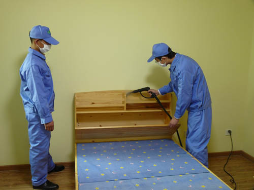 專業(yè)殺蟲公司 專業(yè)殺蟲公司