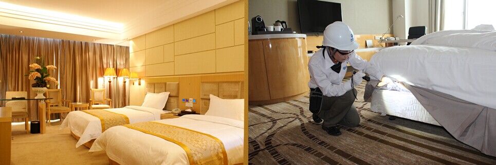 消殺(圖3) 消殺(圖3)