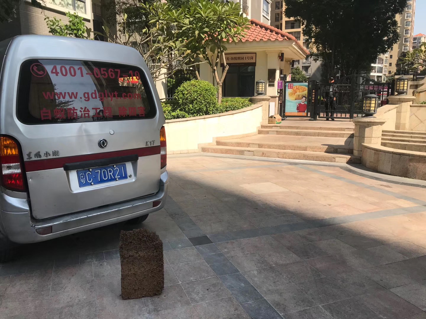 1591512301129387.jpg 微信圖片_小區(qū)白蟻圖.jpg